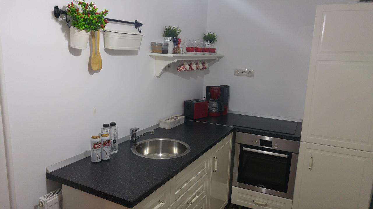 Apartment Bianco Central シビウ エクステリア 写真